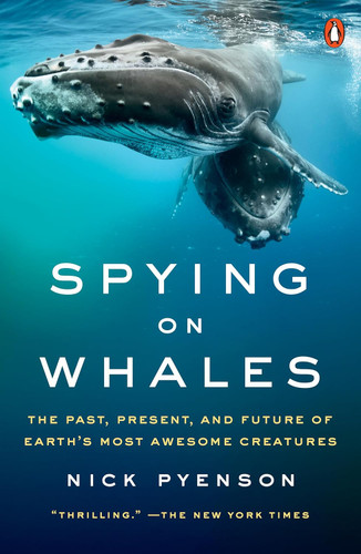 Spying on Whales: The Past Present and Future of Earth's Most Awesome