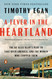 A Fever in the Heartland: The Ku Klux Klan's Plot to Take Over