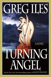 Turning Angel: A Novel