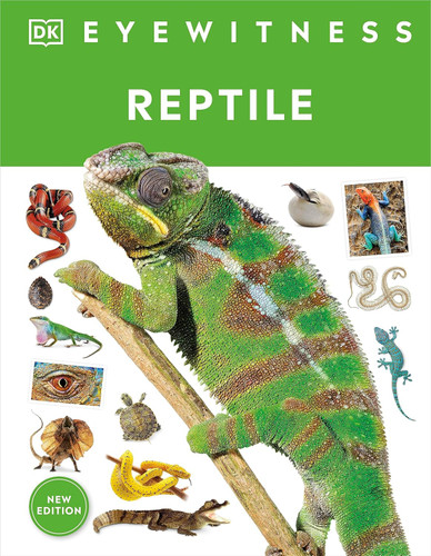 Eyewitness Reptile (DK Eyewitness)