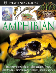 Amphibian