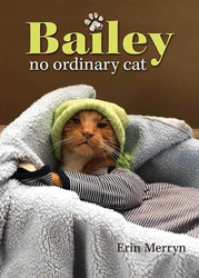 Bailey No Ordinary Cat