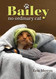 Bailey No Ordinary Cat