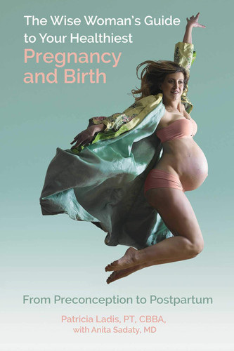 The Wise Woman's Guide to Your Healthiest Pregnancy and Birth: From