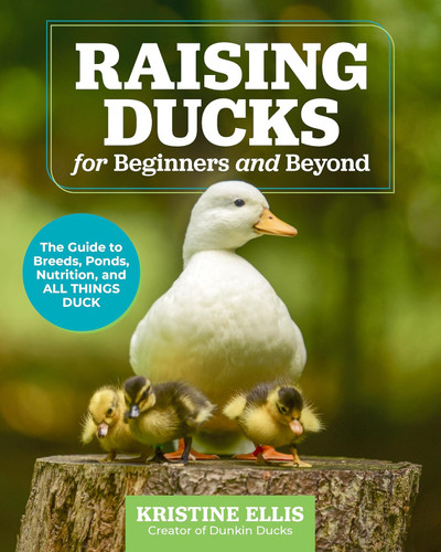 Raising Ducks for Beginners and Beyond: The Guide to Breeds Ponds