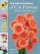 The Encyclopedia of Cut Flowers: What Flowers to Buy When to Buy Them