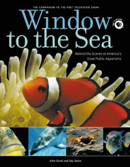 Window To The Sea