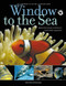 Window To The Sea