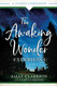 Awaking Wonder Experience
