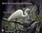 Birds of Coastal South Carolina (Schiffer Books)