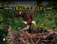 Inside a Bald Eagle's Nest: A Photographic Journey Through the