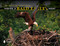 Inside a Bald Eagle's Nest: A Photographic Journey Through the