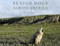 Senior Dogs Across America: Portraits of Man's Best Old Friend