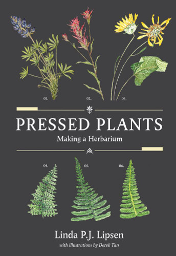 Pressed Plants: Making a Herbarium