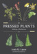 Pressed Plants: Making a Herbarium