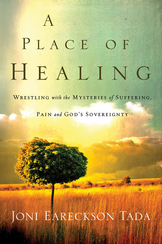 Place of Healing: Wrestling with the Mysteries of Suffering Pain and