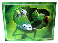 A Bug's Life