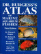 Dr Burgess's Atlas of Marine Aquarium Fishes