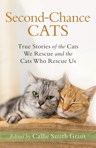 Second-Chance Cats: True Stories of the Cats We Rescue and the Cats