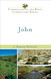 John (Understanding the Bible Commentary Series) John (Understanding the Bible Commentary Series)