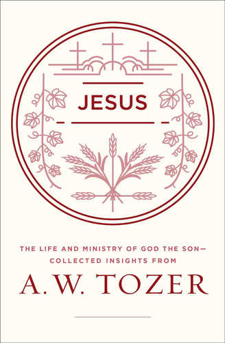 Jesus: The Life and Ministry of God the Son Collected Insights from