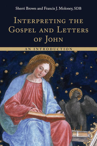 Interpreting the Gospel and Letters of John: An Introduction