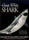 Great White Shark