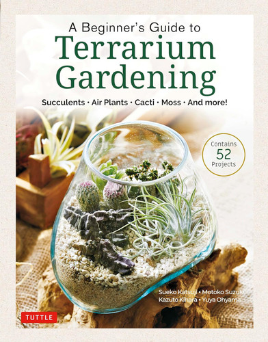 A Beginner's Guide to Terrarium Gardening: Succulents Air Plants
