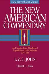 123 John: An Exegetical and Theological Exposition of Holy Scripture