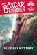 Blue Bay Mystery (The Boxcar Children Mysteries)
