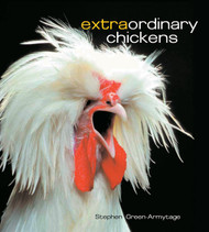 Extraordinary Chickens
