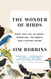 The Wonder of Birds: What They Tell Us About Ourselves the World and