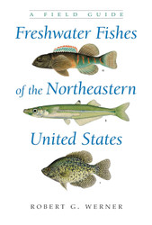 Freshwater Fishes of the Northeastern United States: A Field Guide