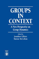 Groups in Context: A New Perspective on Group Dynamics