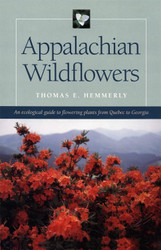 Appalachian Wildflowers