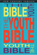 The Youth Bible An Ncv Resource That Teens Will Turn To For Guidance