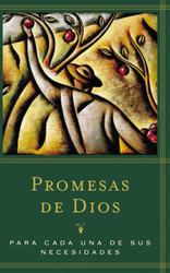 Promesas De Dios Para Cada Una De Sus Necesidades