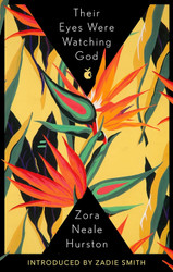 Their Eyes Were Watching God (Virago modern classic)