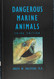 Dangerous Marine Animals