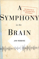 A Symphony in the Brain