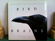 Bird Brains: The Intelligence of Crows Ravens Magpies and Jays