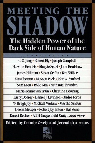 Meeting the Shadow