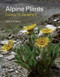 Alpine Plants: Ecology for Gardeners