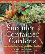 Succulent Container Gardens: Design Eye-Catching Displays with 350