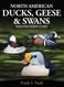 North American Ducks Geese and Swans: Identification Guide