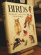 Birds: Their Life Their Ways Their World