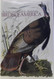 An Index and Guide to Audubon's Birds of America
