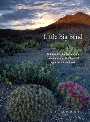 Little Big Bend