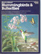 How to Attract Hummingbirds & Butterflies
