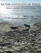 In the Footsteps of Sheep: Tales of a Journey Through Scotland